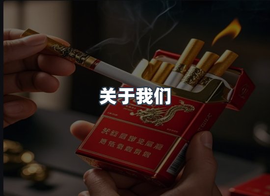 专业团队
